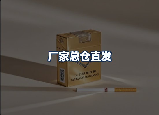 专业团队办公环境